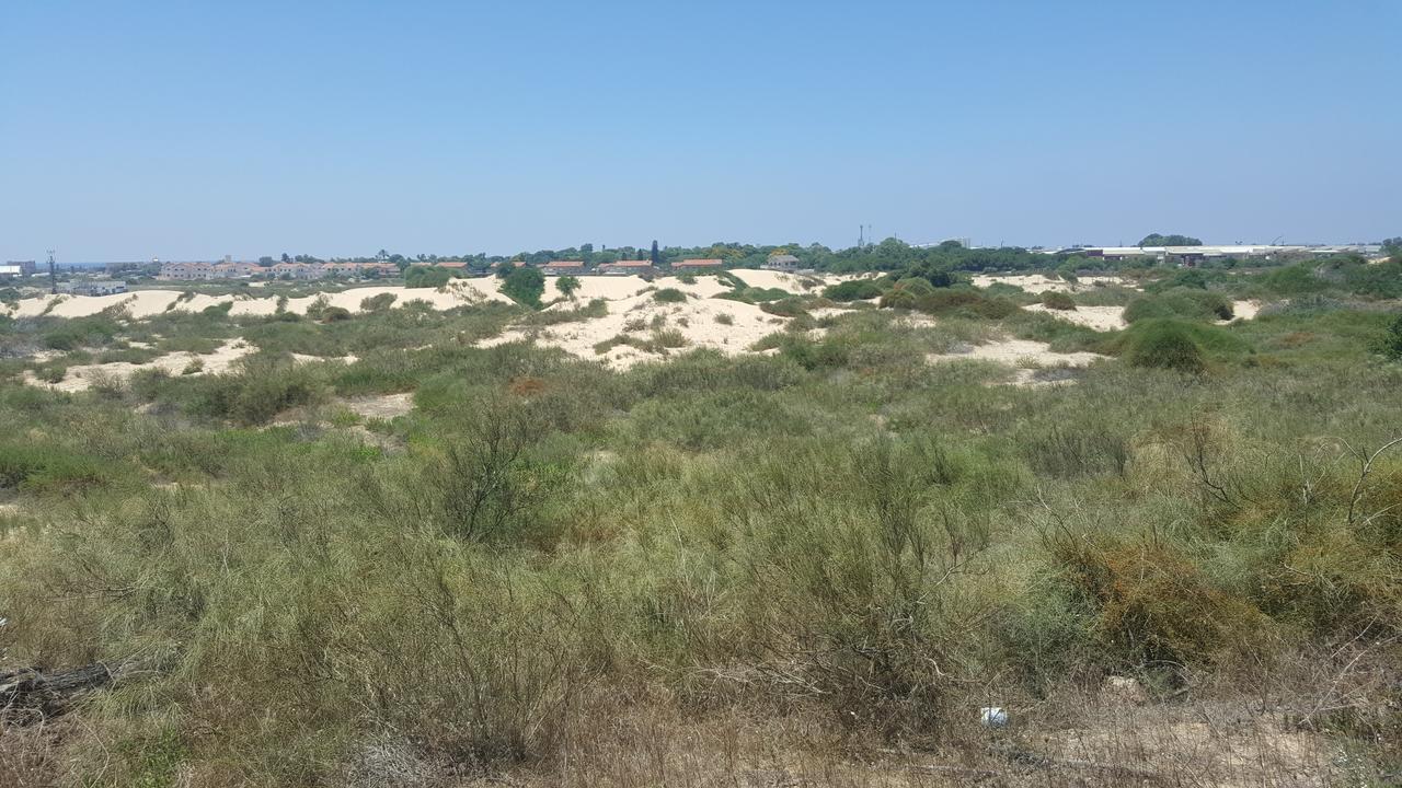 Neot Golf Caesarea Garden Apartment Exteriör bild